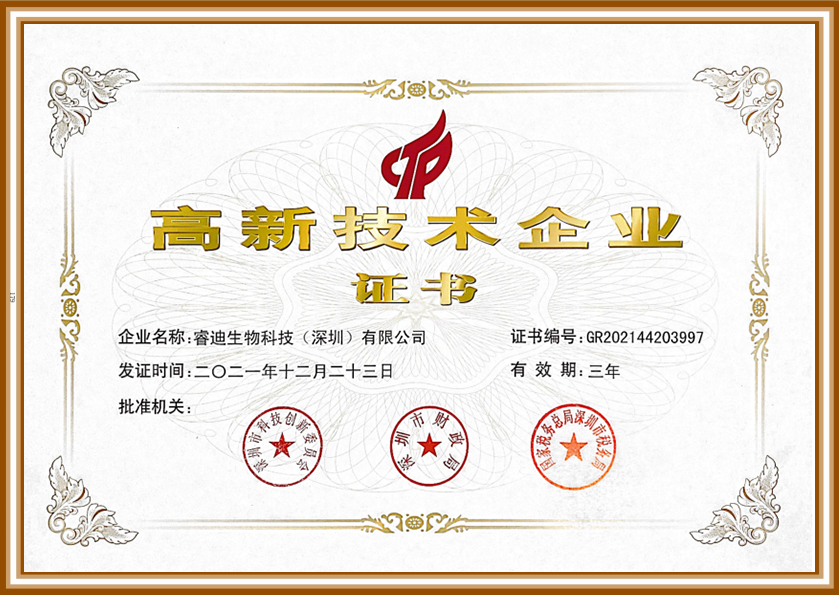 睿迪